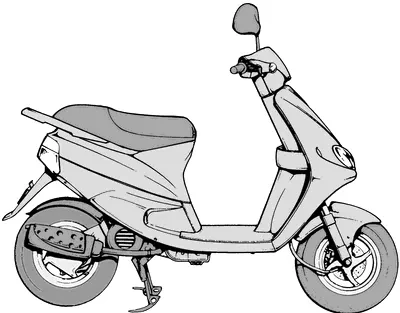 Zip Fast Rider RST