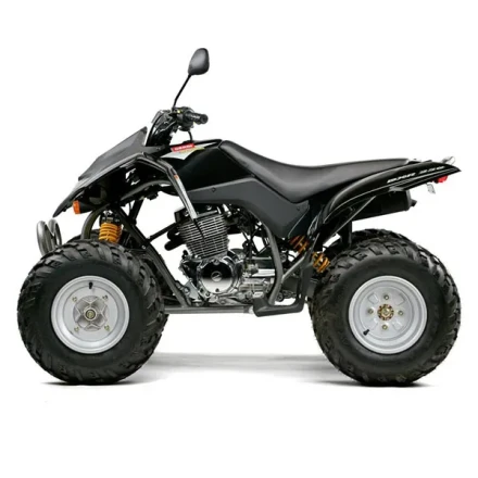 QUAD DXR 250