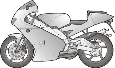RS 250 2T