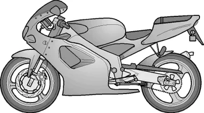 RS 50 2T