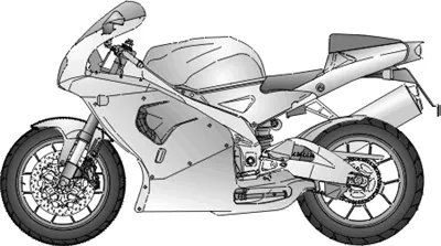 RSV 1000