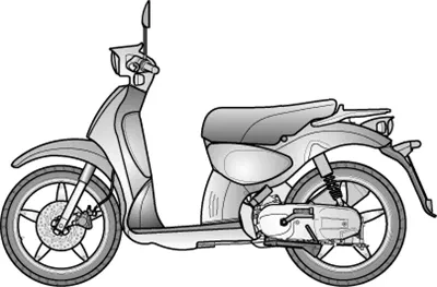 Scarabeo 100 2T (Minarelli)